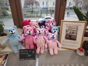 Medvídci od Marienky v Bistru Teamcaffe